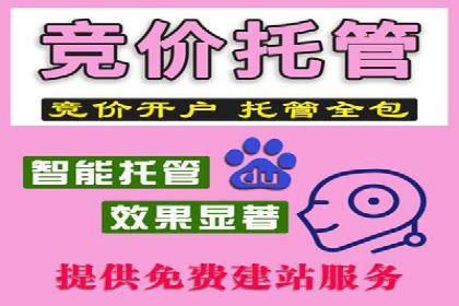 某电商企业如何通过百度竞价广告提升销售额
